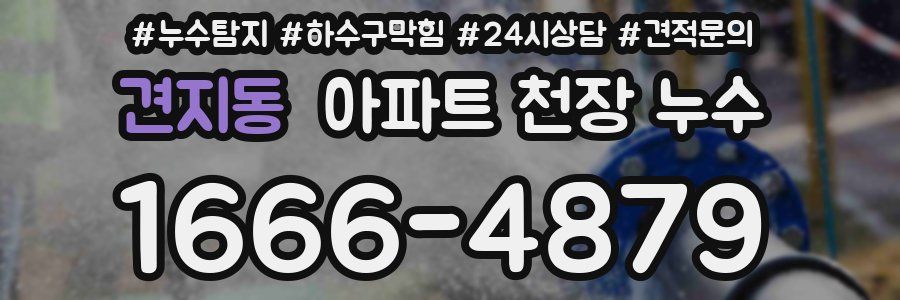 견지동 아파트 천장 누수