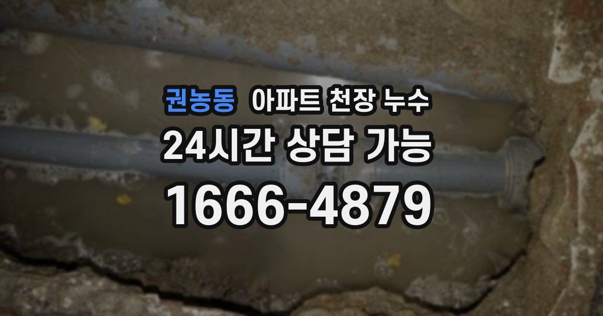 권농동 아파트 천장 누수