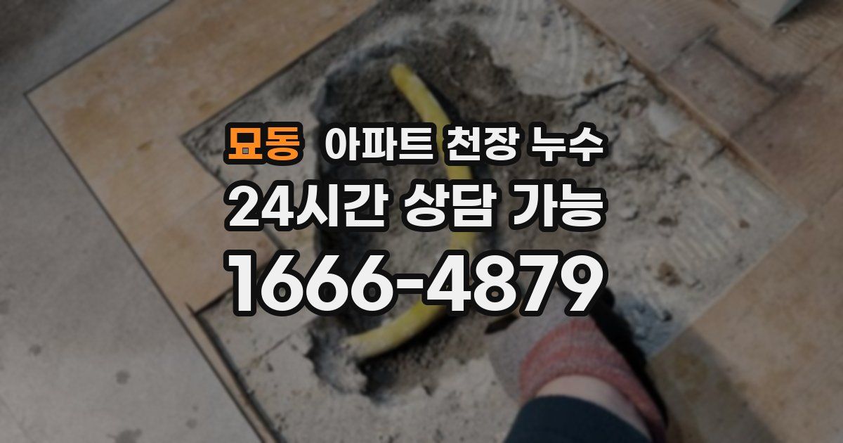 묘동 아파트 천장 누수