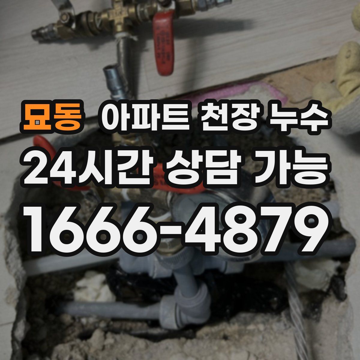 묘동 아파트 천장 누수