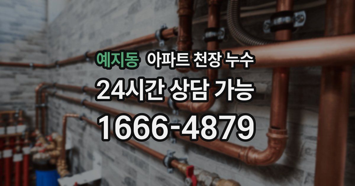 예지동 아파트 천장 누수