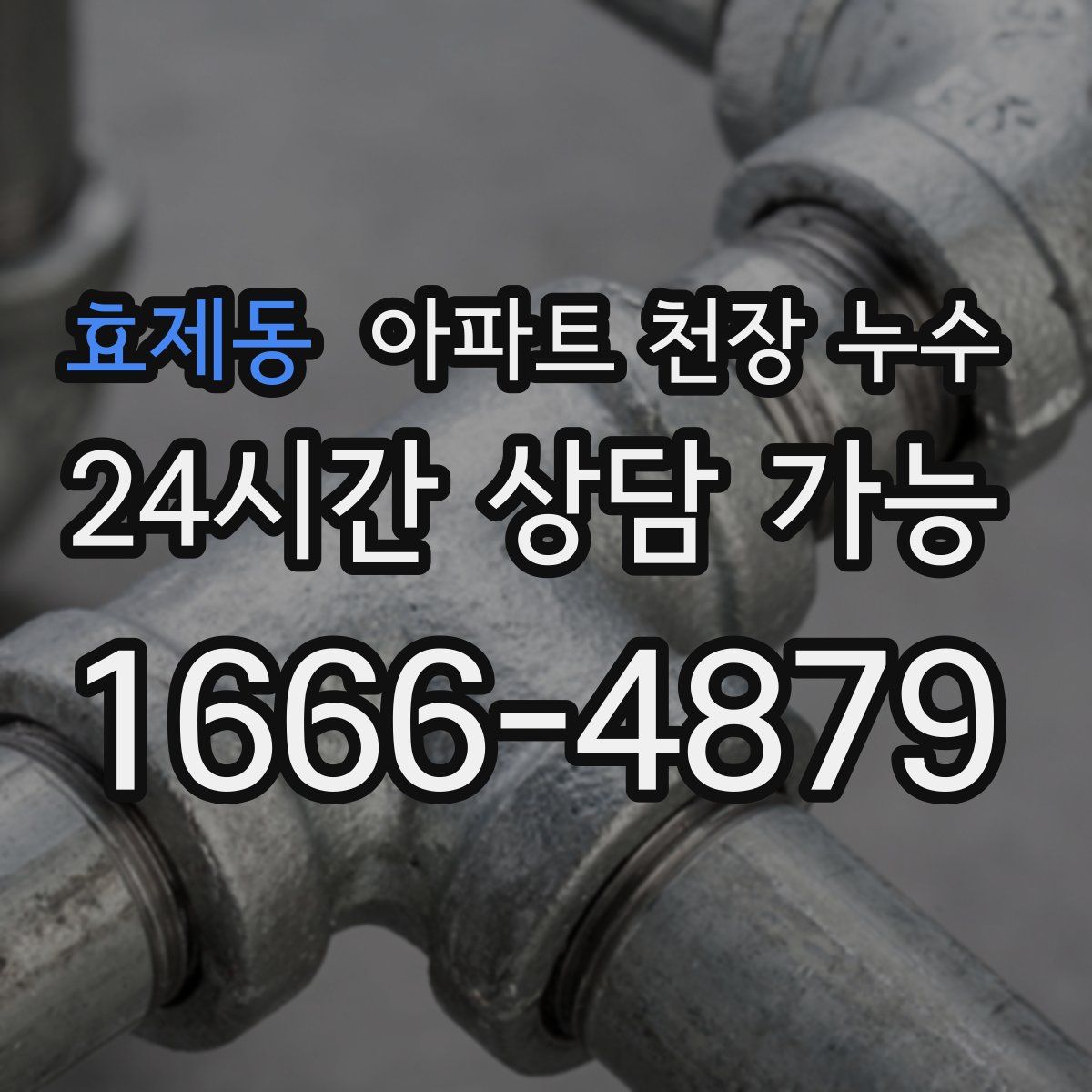효제동 아파트 천장 누수