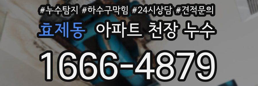 효제동 아파트 천장 누수