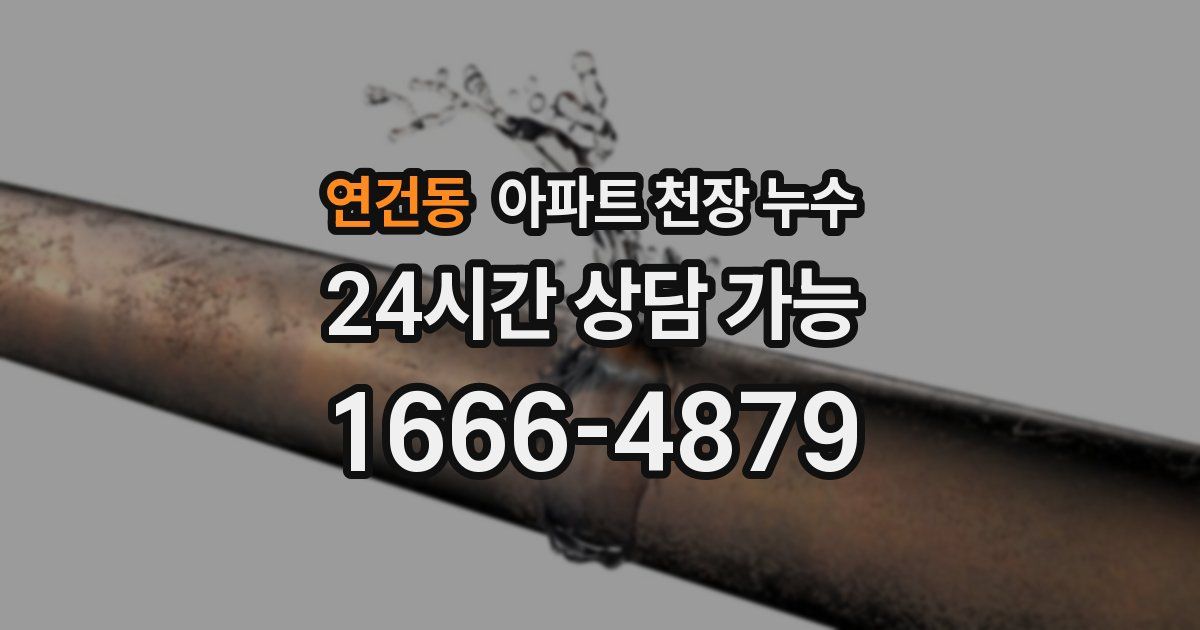 연건동 아파트 천장 누수