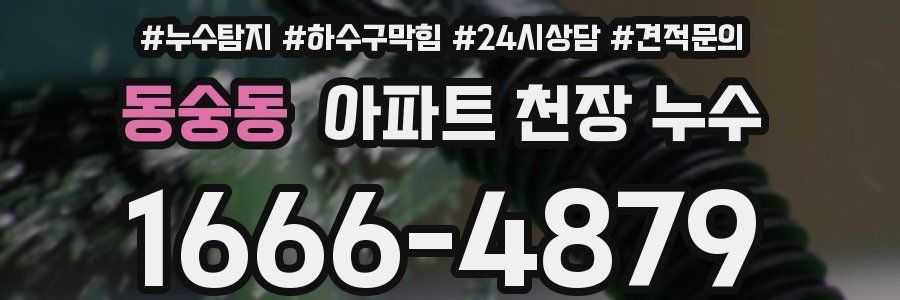 동숭동 아파트 천장 누수