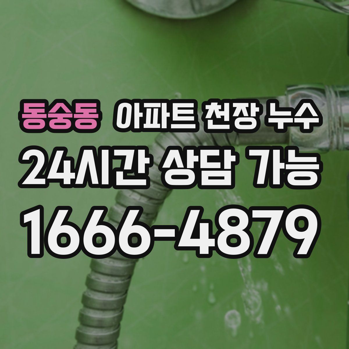 동숭동 아파트 천장 누수