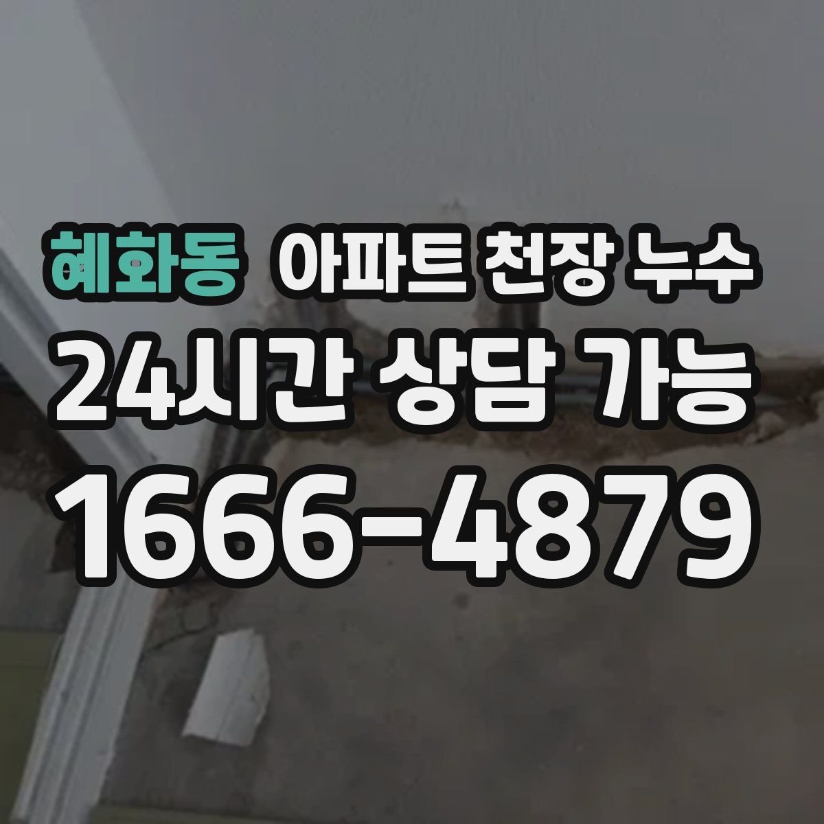 혜화동 아파트 천장 누수