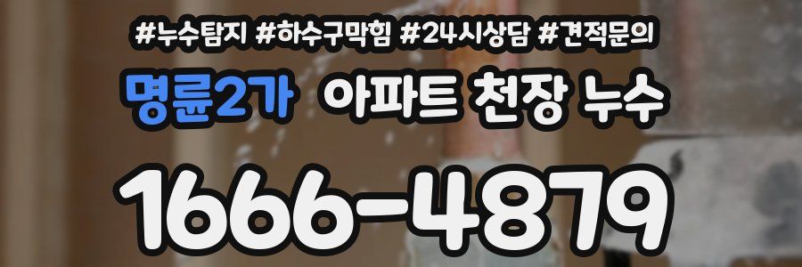 명륜2가 아파트 천장 누수