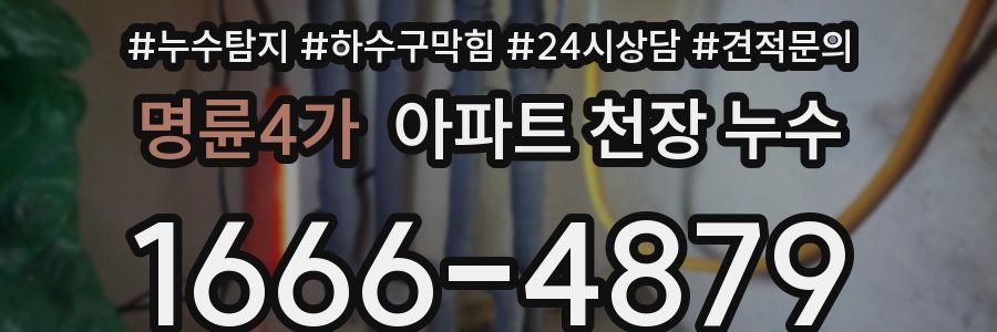 명륜4가 아파트 천장 누수