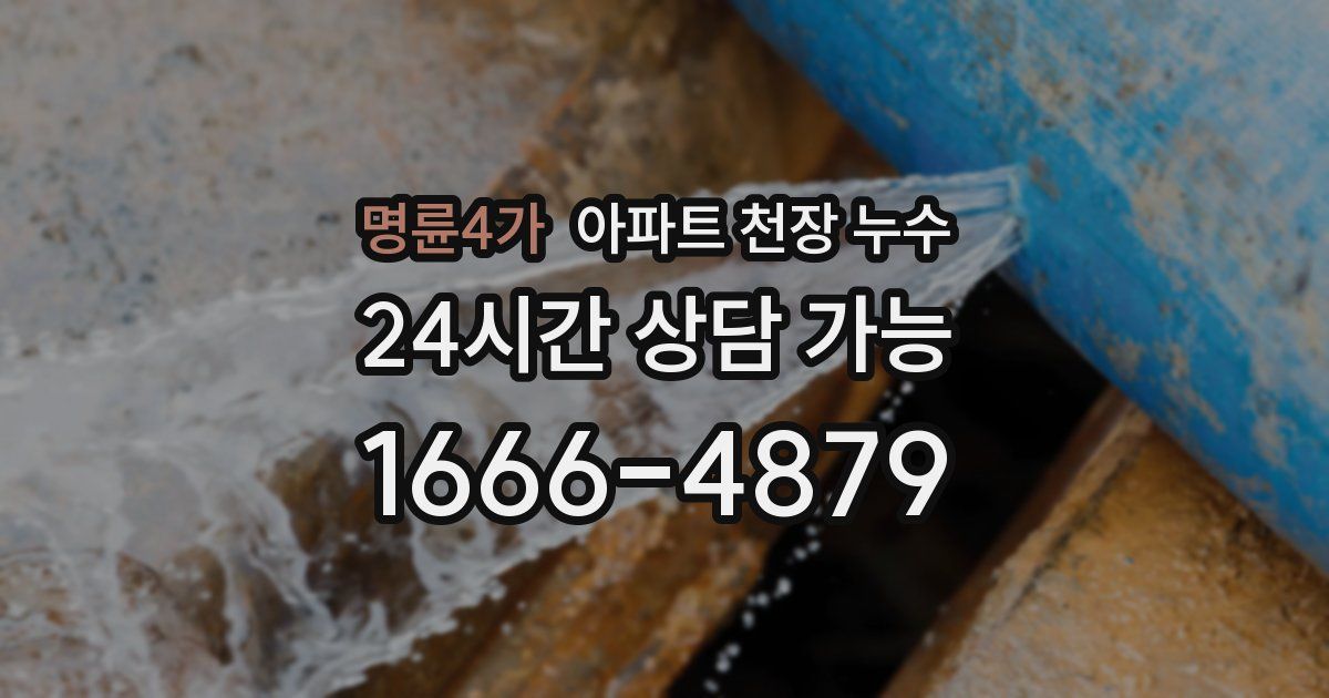 명륜4가 아파트 천장 누수