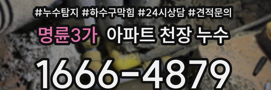 명륜3가 아파트 천장 누수