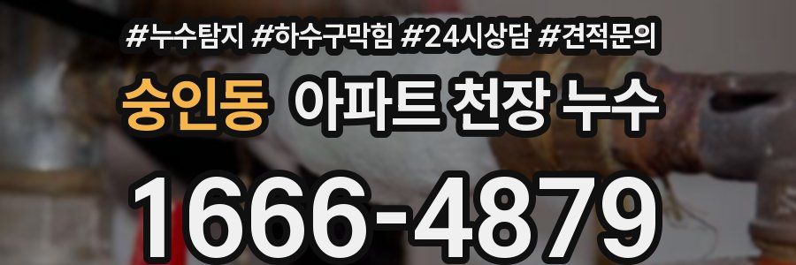 숭인동 아파트 천장 누수