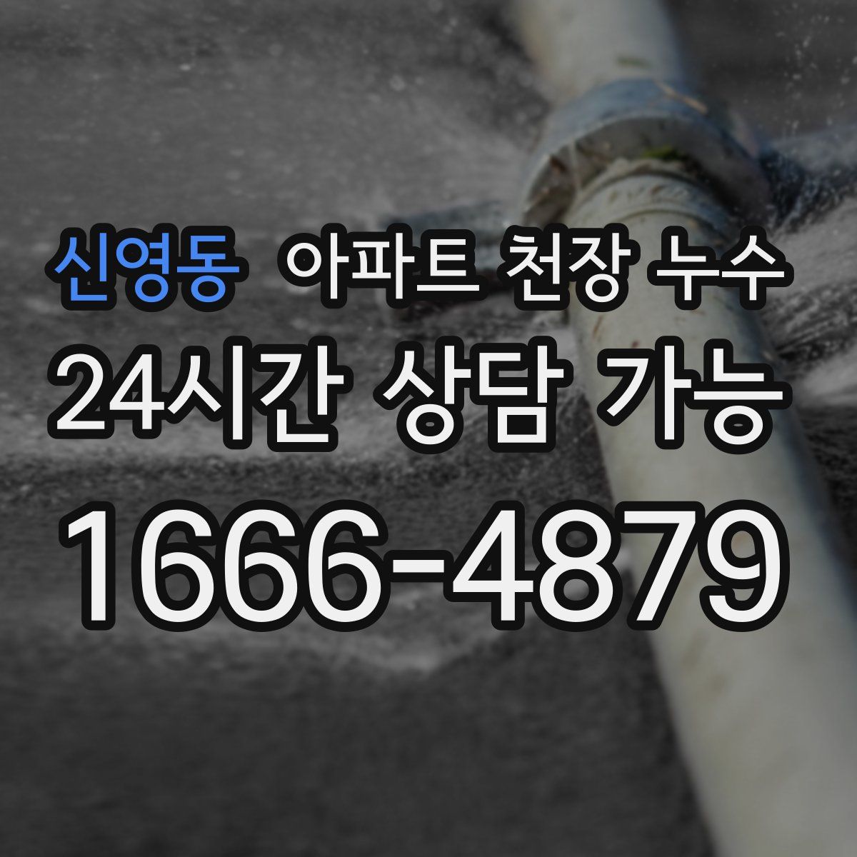 신영동 아파트 천장 누수
