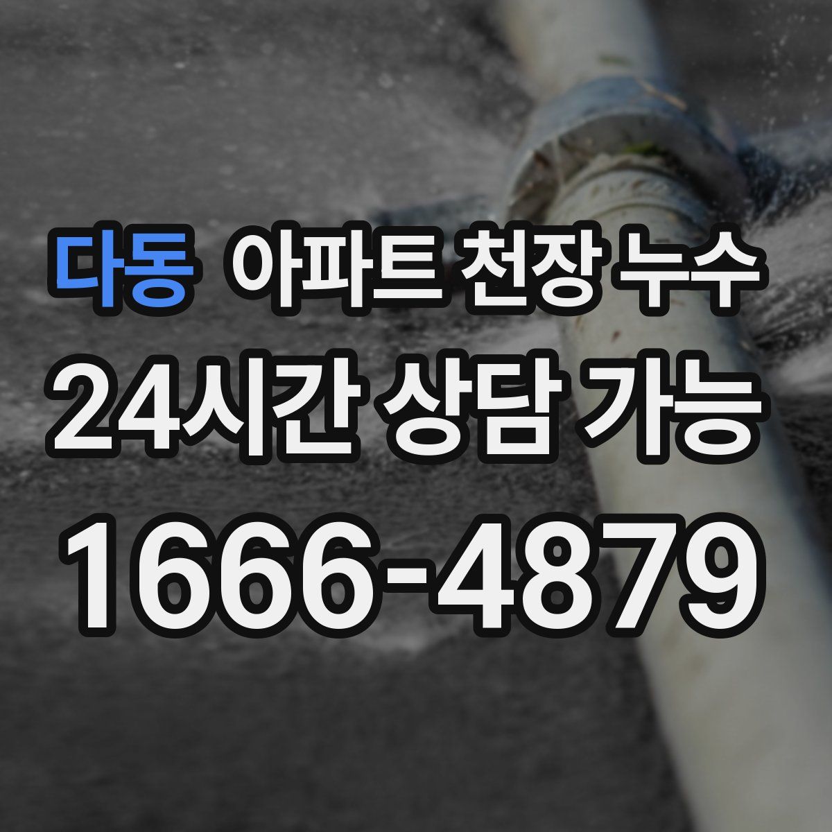 다동 아파트 천장 누수