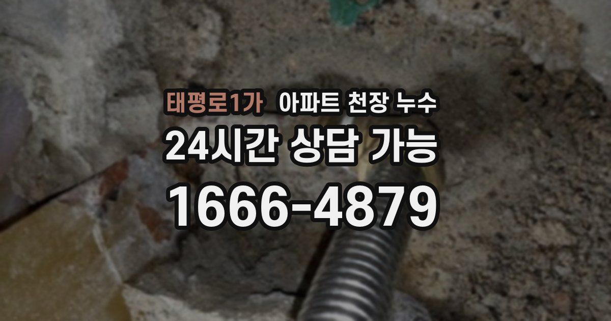 태평로1가 아파트 천장 누수