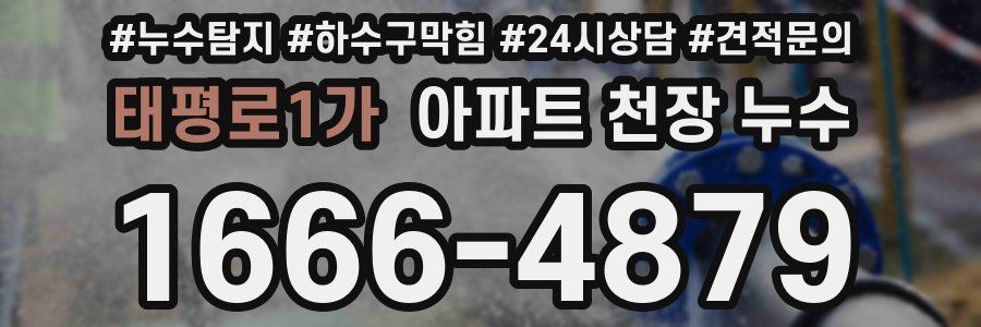 태평로1가 아파트 천장 누수
