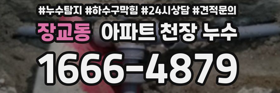 장교동 아파트 천장 누수
