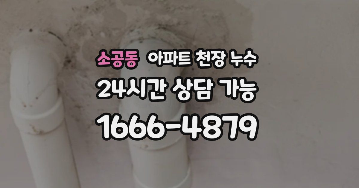 소공동 아파트 천장 누수