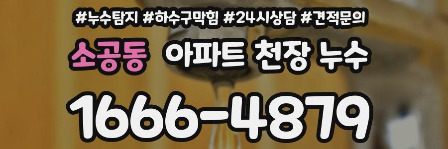 소공동 아파트 천장 누수