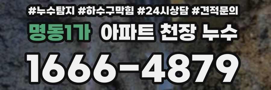 명동1가 아파트 천장 누수