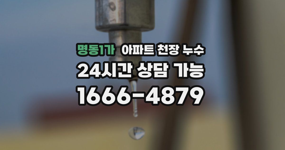 명동1가 아파트 천장 누수