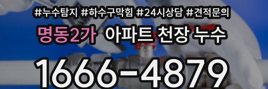 명동2가 아파트 천장 누수