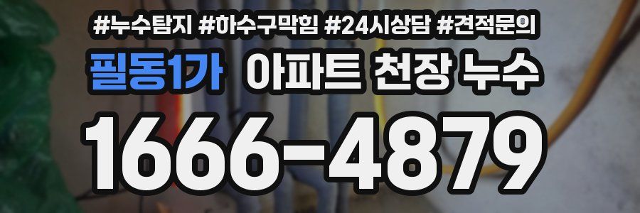 필동1가 아파트 천장 누수