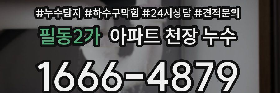 필동2가 아파트 천장 누수