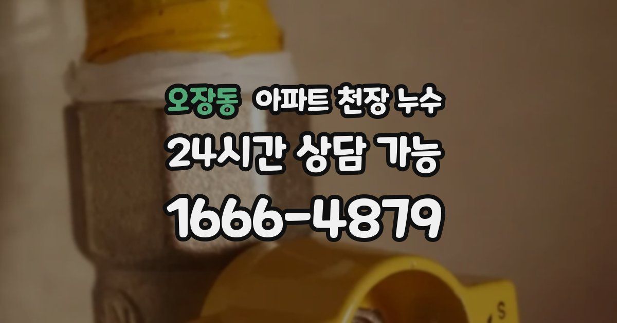 오장동 아파트 천장 누수