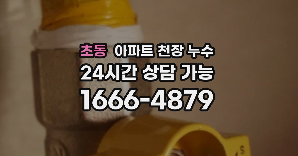 초동 아파트 천장 누수