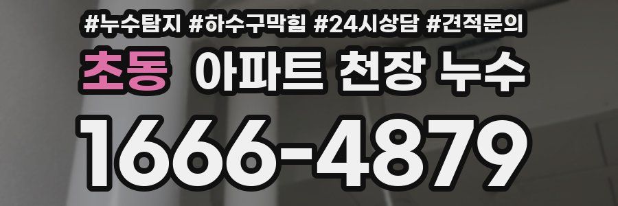 초동 아파트 천장 누수