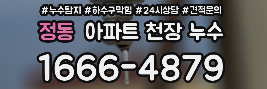 정동 아파트 천장 누수