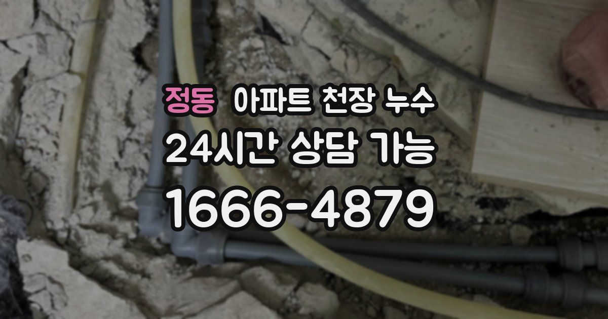 정동 아파트 천장 누수