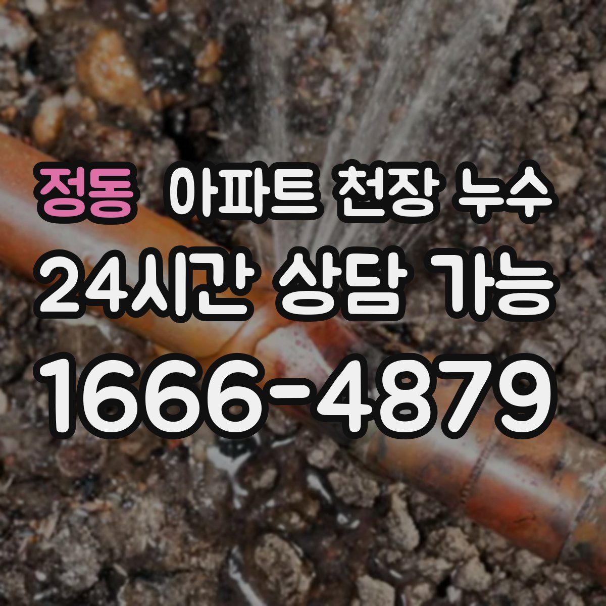 정동 아파트 천장 누수