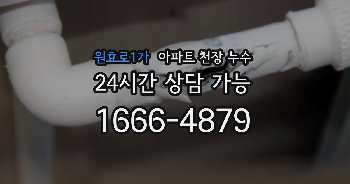 원효로1가 아파트 천장 누수