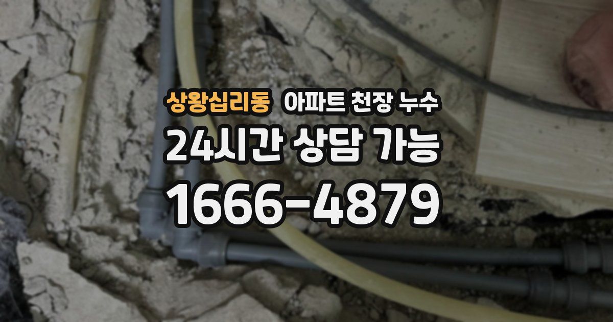 상왕십리동 아파트 천장 누수