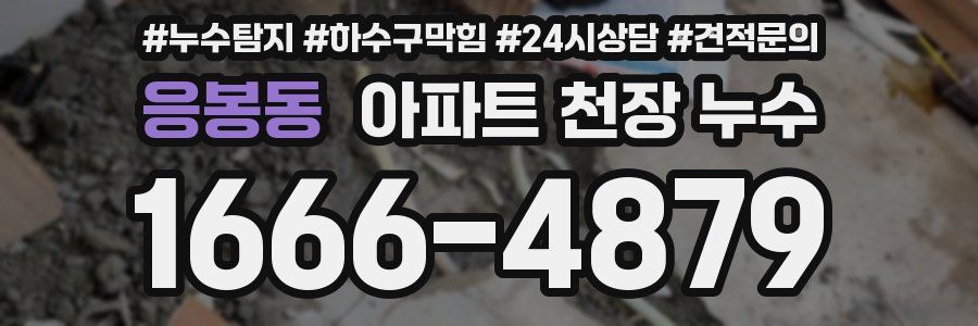 응봉동 아파트 천장 누수