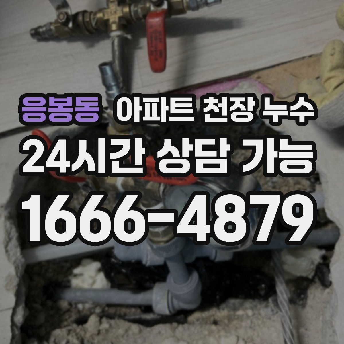 응봉동 아파트 천장 누수