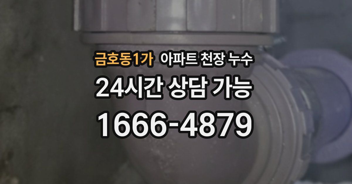 금호동1가 아파트 천장 누수