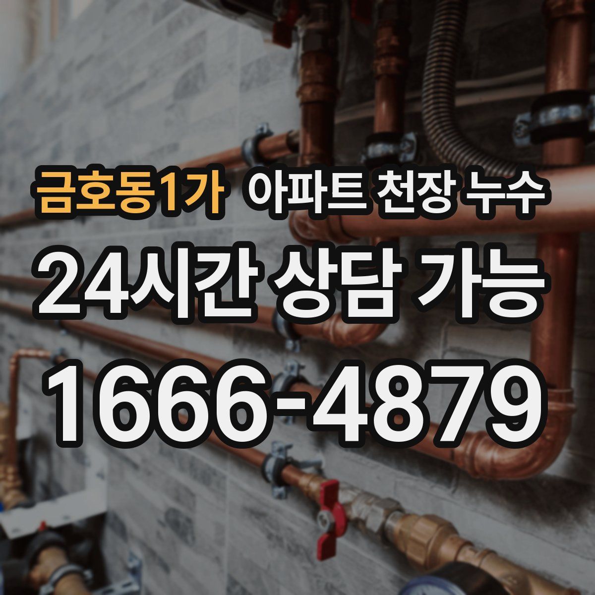 금호동1가 아파트 천장 누수