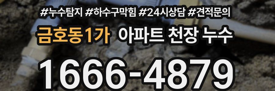 금호동1가 아파트 천장 누수
