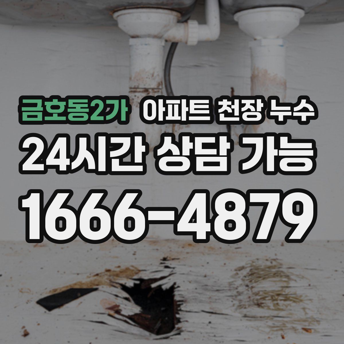 금호동2가 아파트 천장 누수