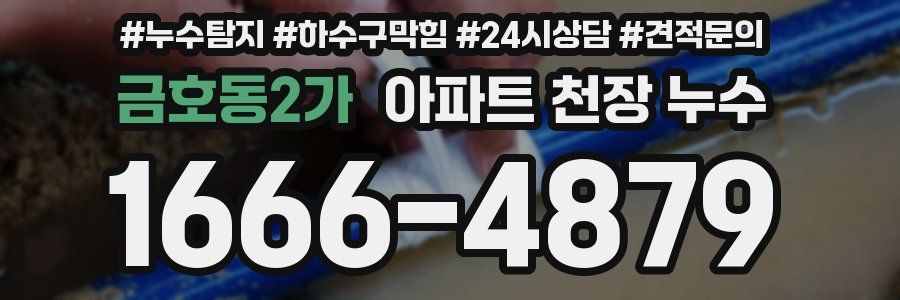 금호동2가 아파트 천장 누수