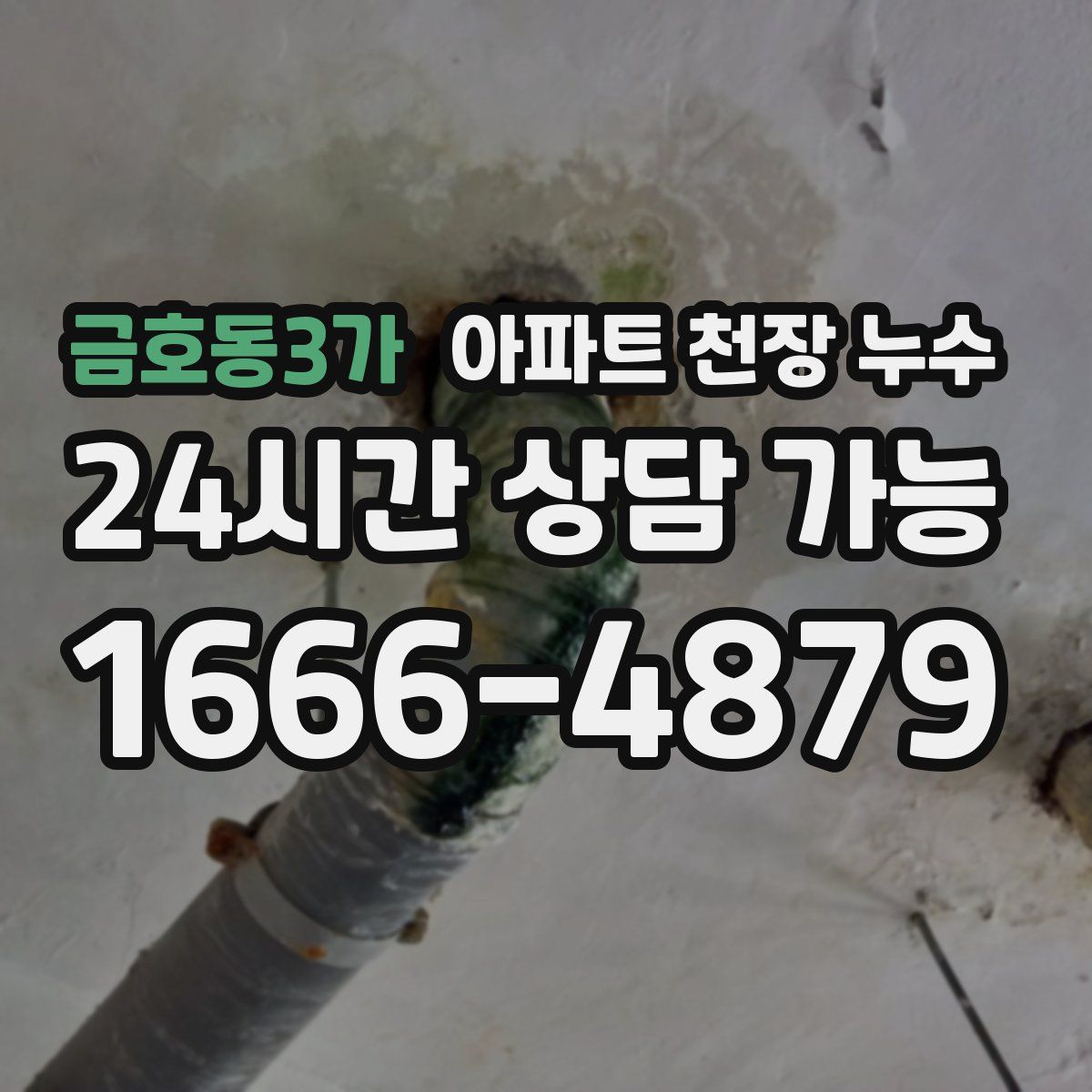 금호동3가 아파트 천장 누수