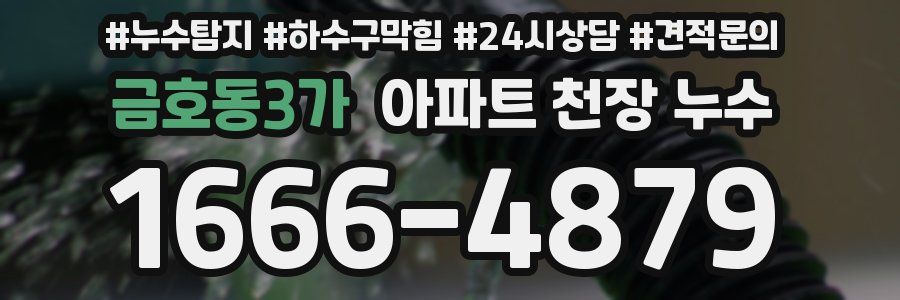 금호동3가 아파트 천장 누수