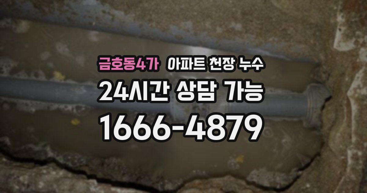 금호동4가 아파트 천장 누수