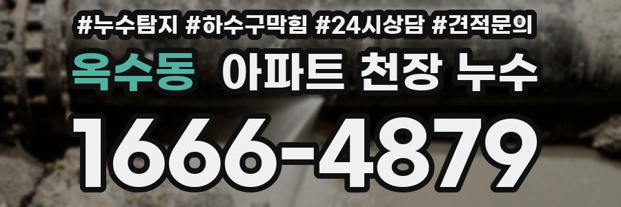 옥수동 아파트 천장 누수