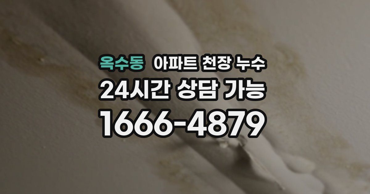 옥수동 아파트 천장 누수
