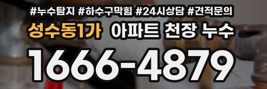 성수동1가 아파트 천장 누수