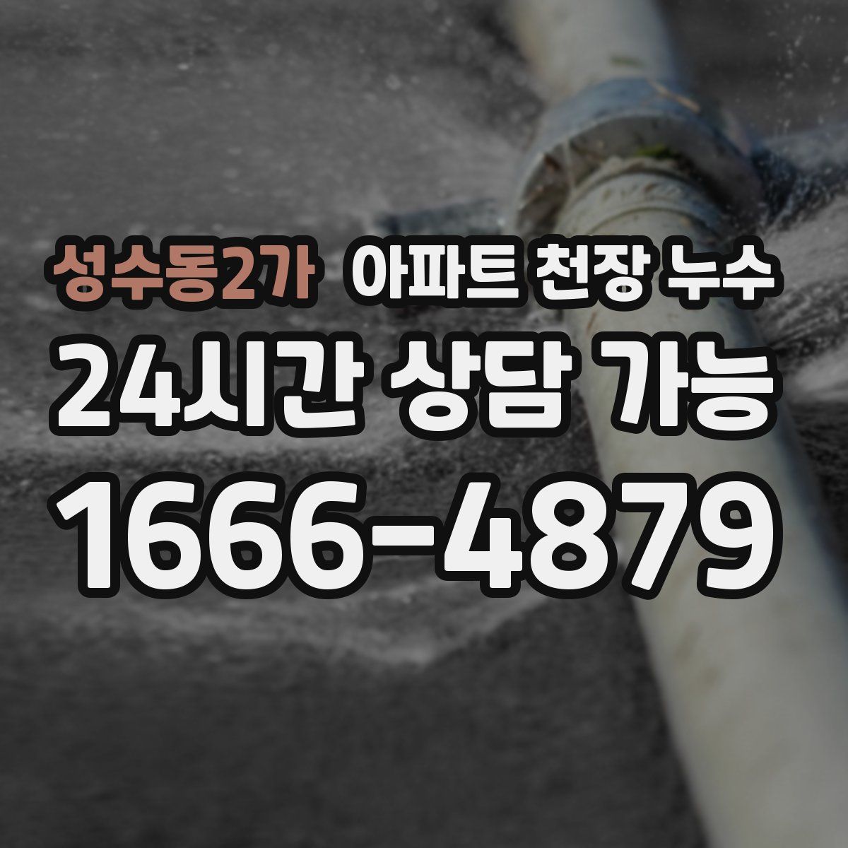 성수동2가 아파트 천장 누수